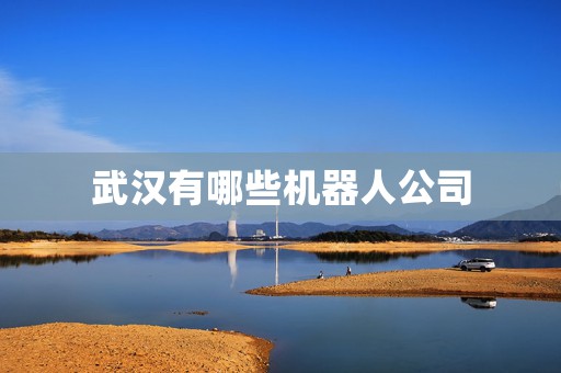 武汉有哪些机器人公司