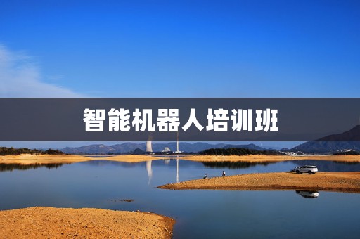 智能机器人培训班