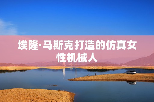 埃隆·马斯克打造的仿真女性机械人